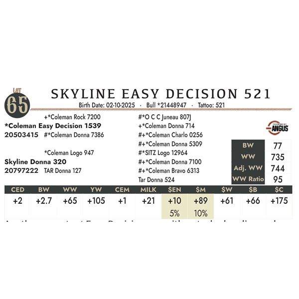 SKYLINE EASY DECISION 521