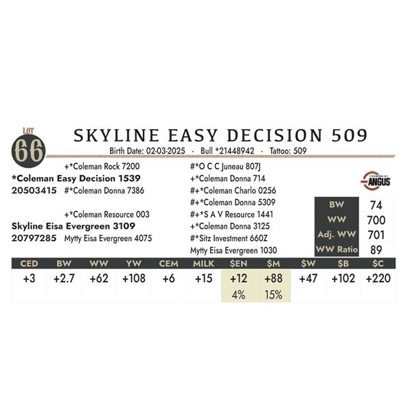 SKYLINE EASY DECISION 509