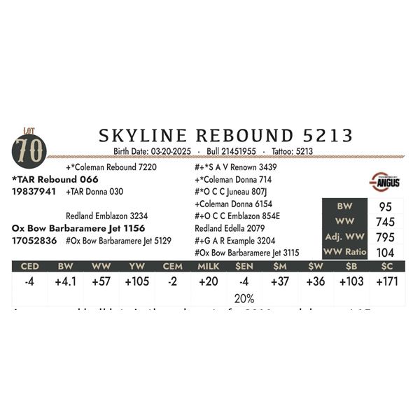 SKYLINE REBOUND 5213