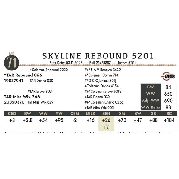 SKYLINE REBOUND 5201