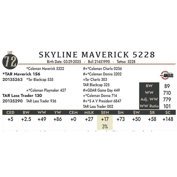 SKYLINE MAVERICK 5228