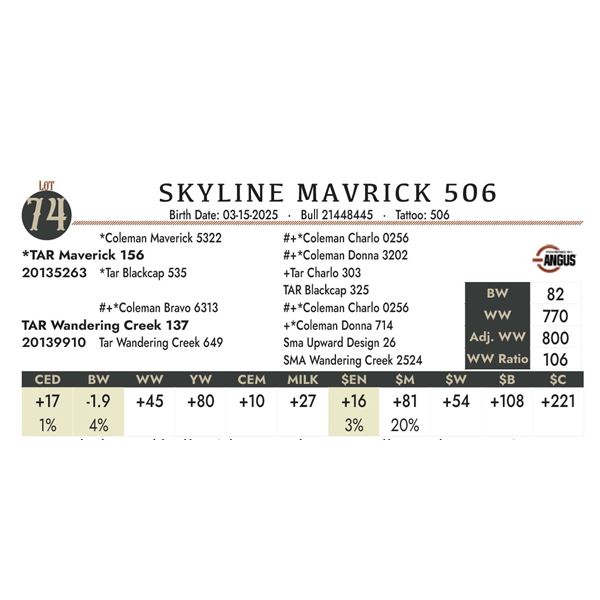 SKYLINE MAVRICK 506