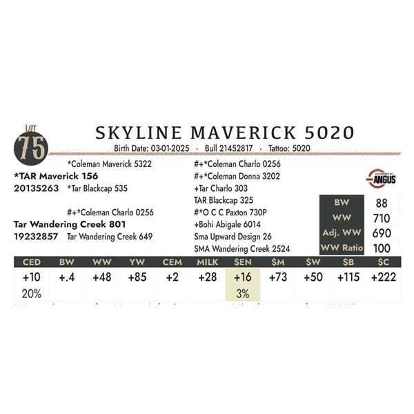 SKYLINE MAVERICK 5020