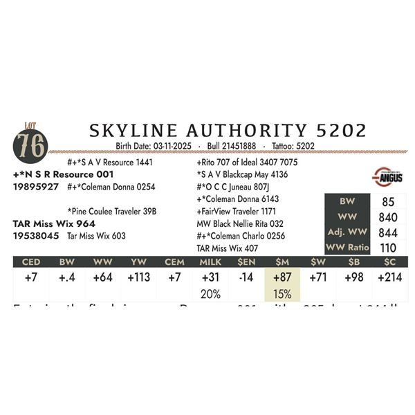 SKYLINE AUTHORITY 5202