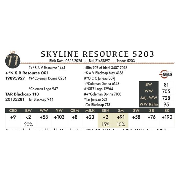 SKYLINE RESOURCE 5203
