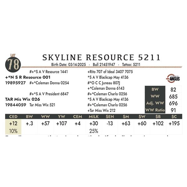 SKYLINE RESOURCE 5211