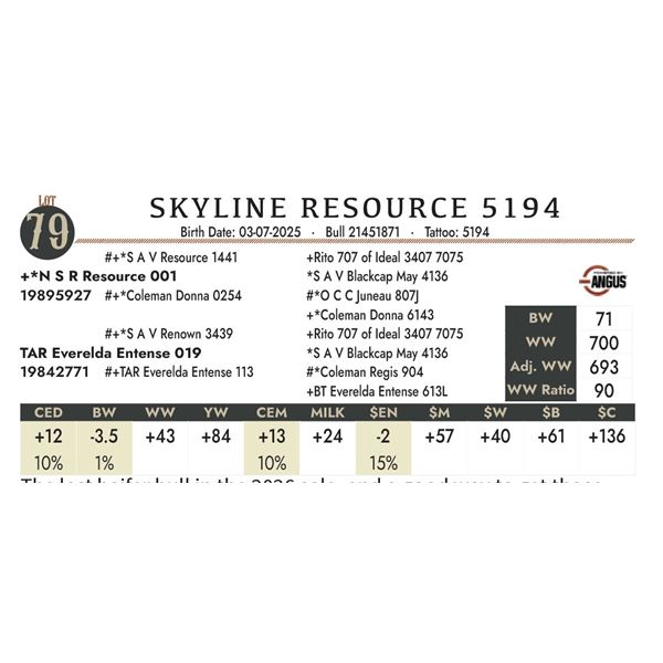 SKYLINE RESOURCE 5194