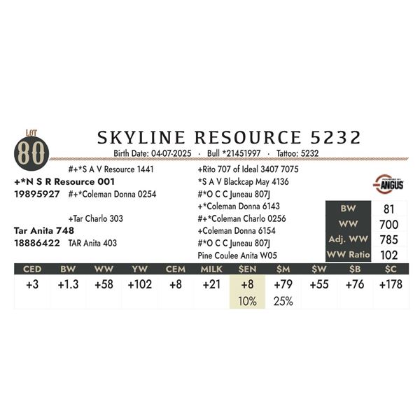 SKYLINE RESOURCE 5232