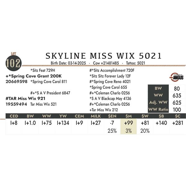 SKYLINE MISS WIX 5021