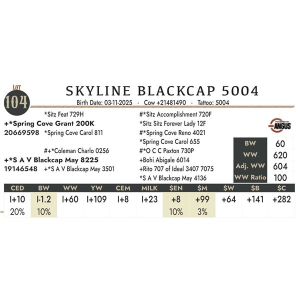 SKYLINE BLACKCAP 5004
