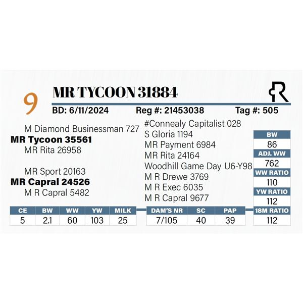MR Tycoon 31884