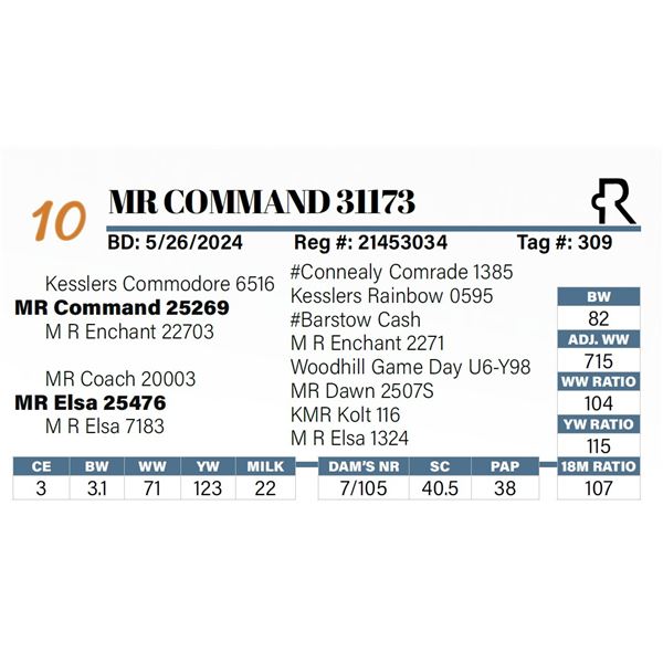 MR Command 31173