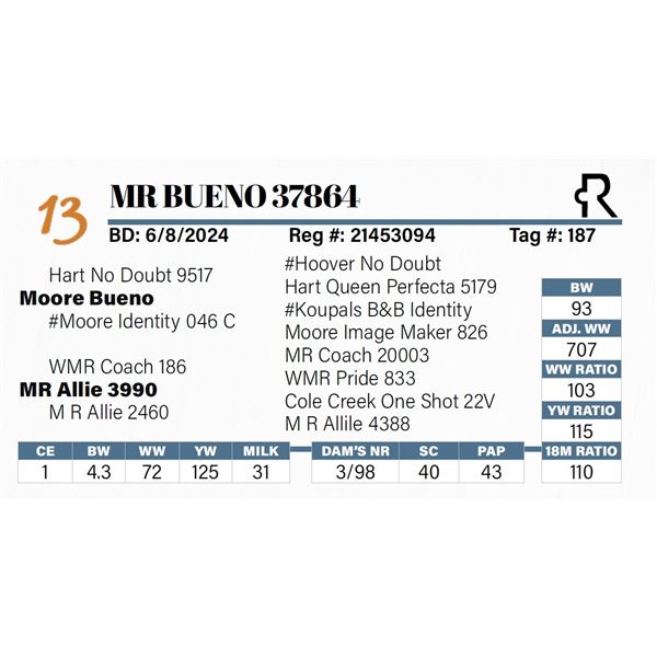 MR Bueno 37864