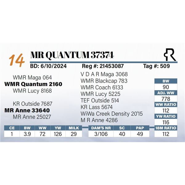 MR Quantum 37374