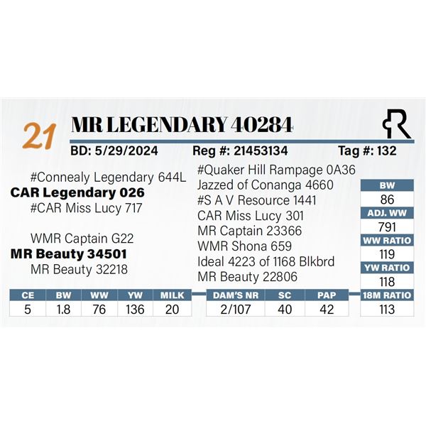 MR Legendary 40284