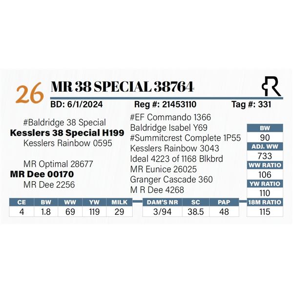 MR 38 Special 38764