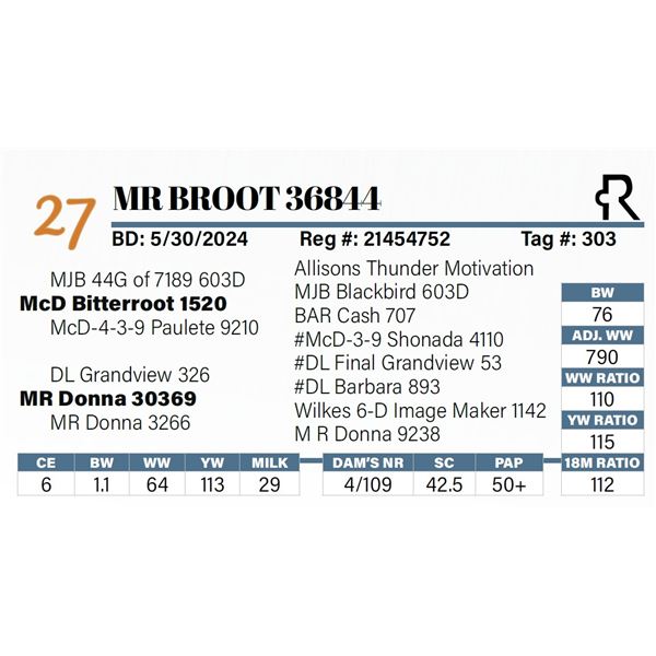 MR Broot 36844