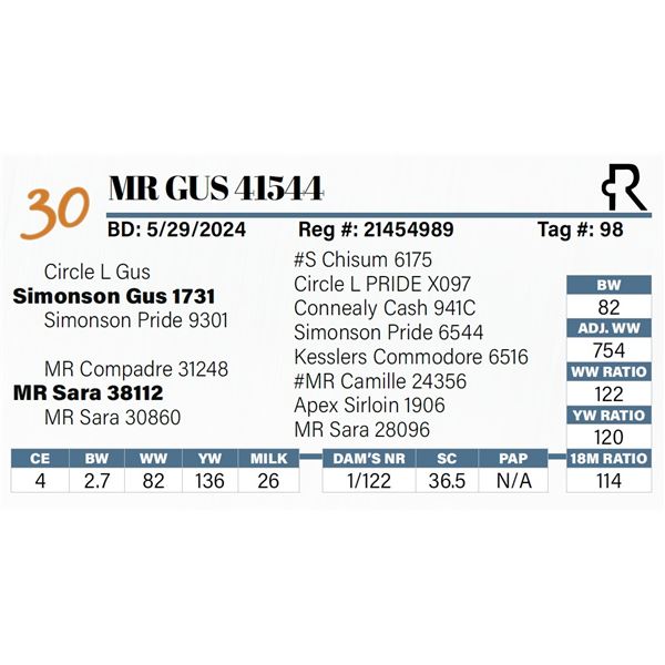 MR Gus 41544