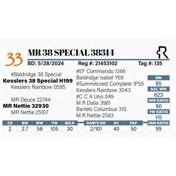 MR 38 Special 38314