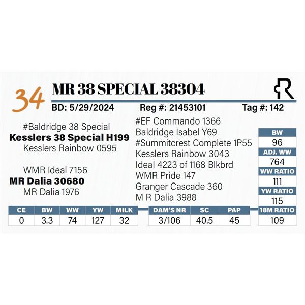 MR 38 Special 38304
