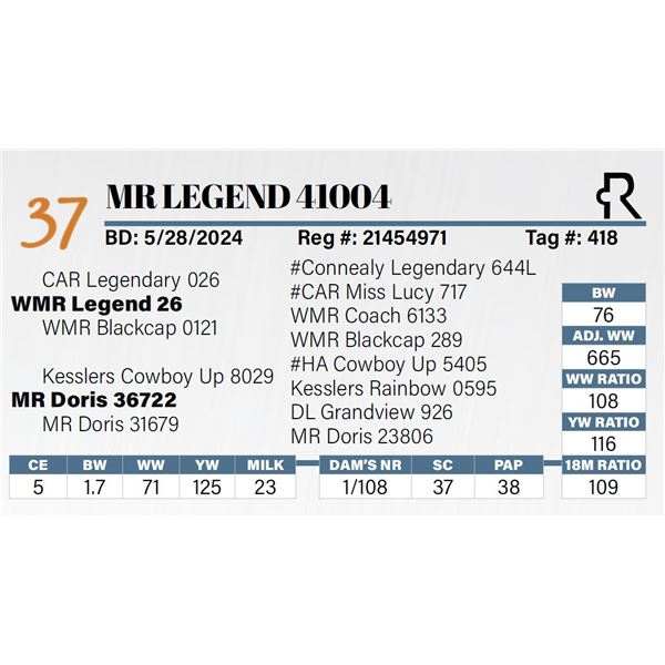 MR Legend 41004