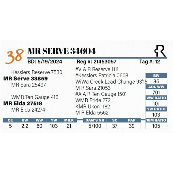 MR Serve 34604
