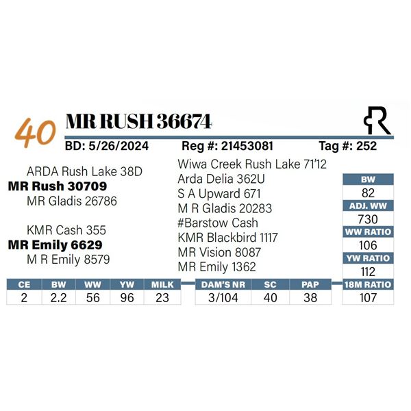 MR Rush 36674