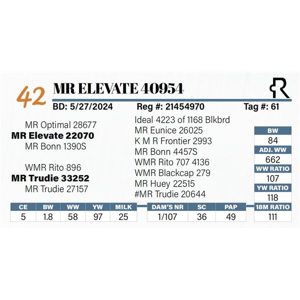 MR Elevate 40954