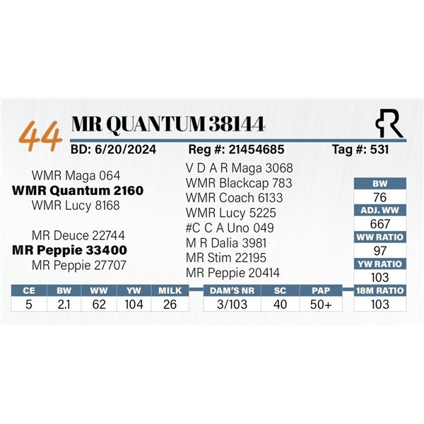 MR Quantum 38144
