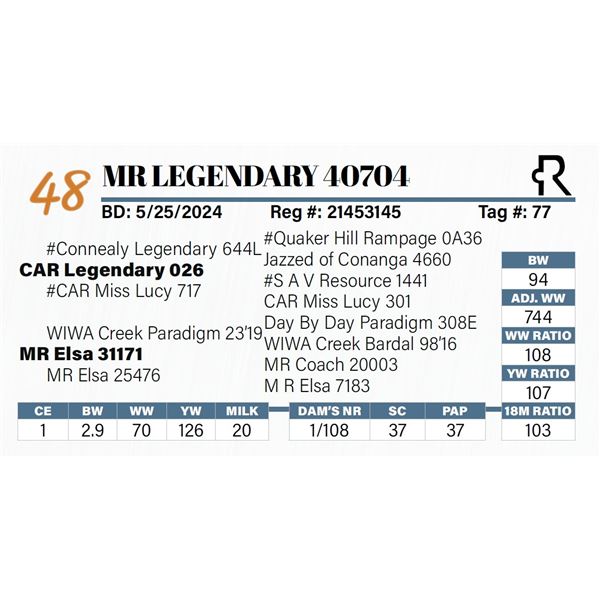 MR Legendary 40704