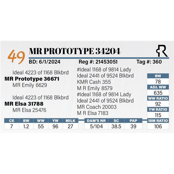 MR Prototype 34204