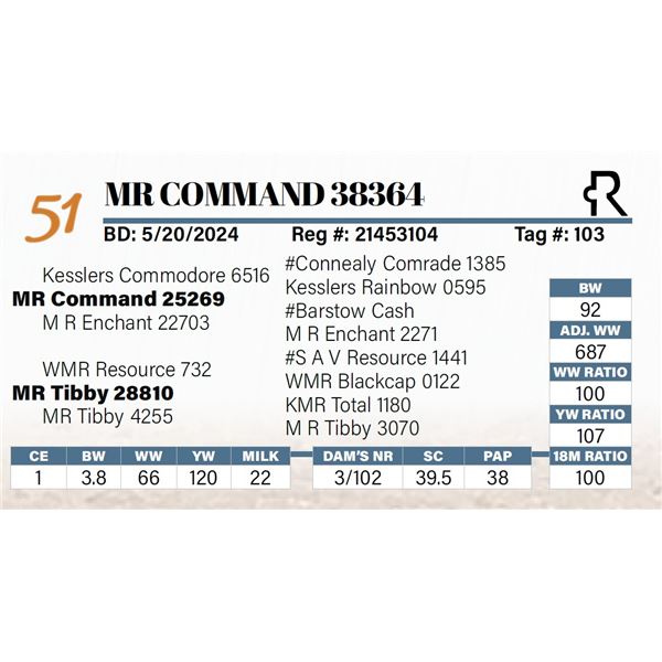 MR Command 38364
