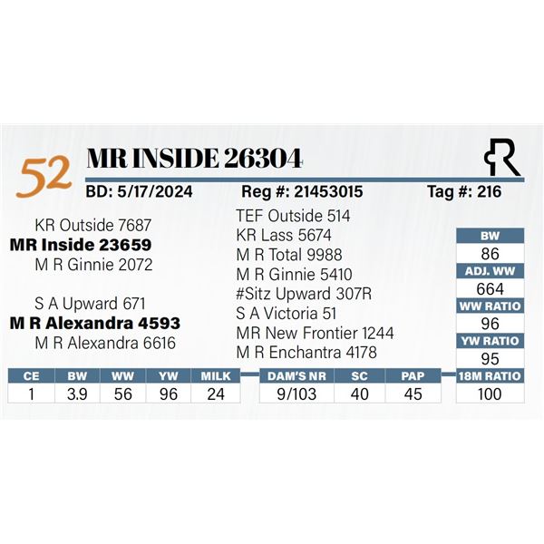 MR Inside 26304
