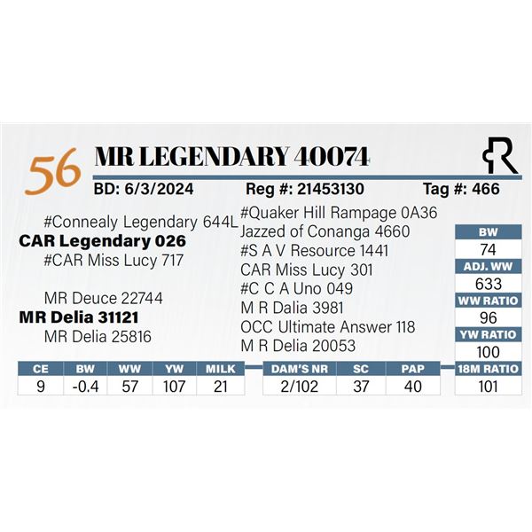 MR Legendary 40074