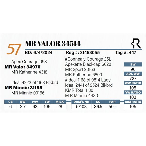 MR Valor 34514