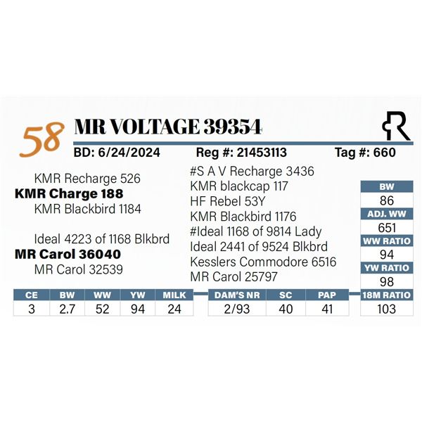 MR Voltage 39354
