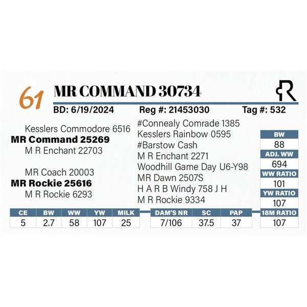 MR Command 30734