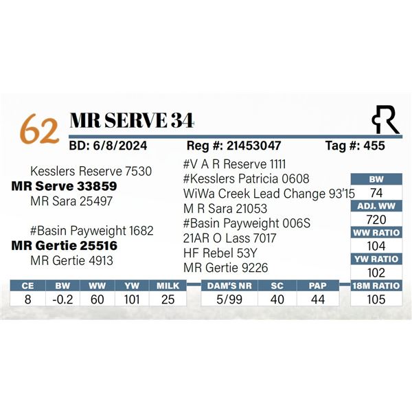 MR Serve 34