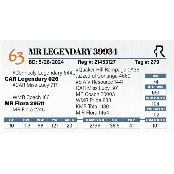 MR Legendary 39934