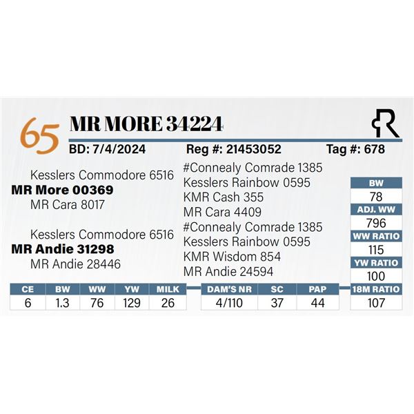 MR More 34224