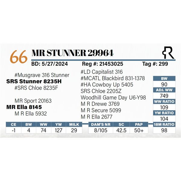 MR Stunner 29964