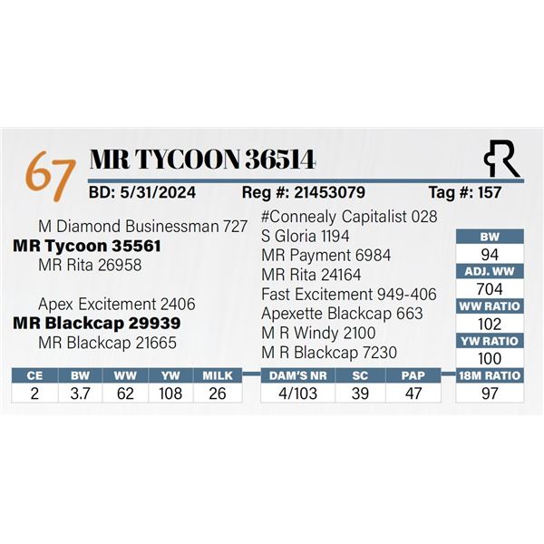 MR Tycoon