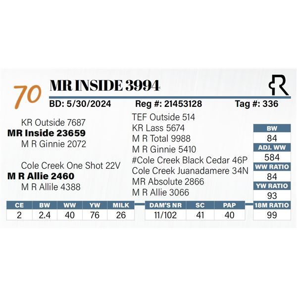MR Inside 3994