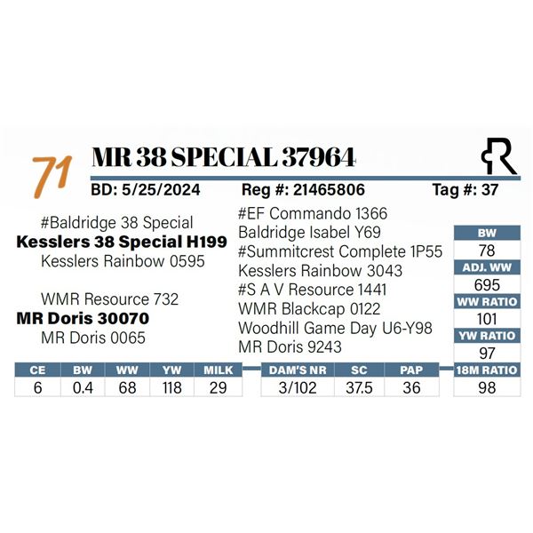 MR 38 Special 37964