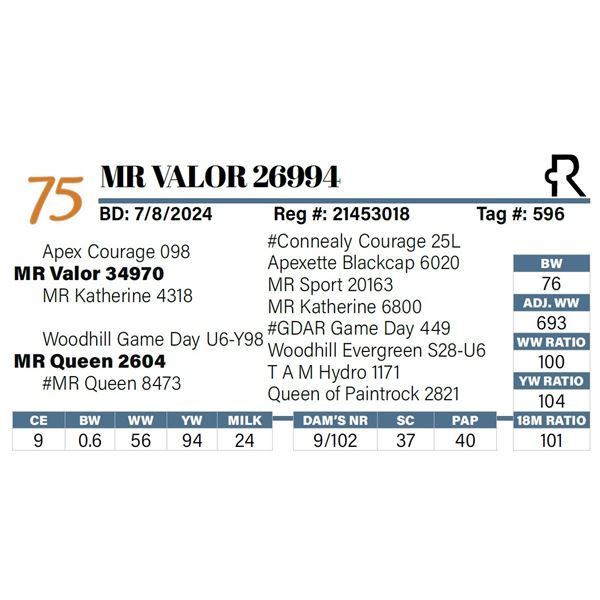 MR Valor 26994
