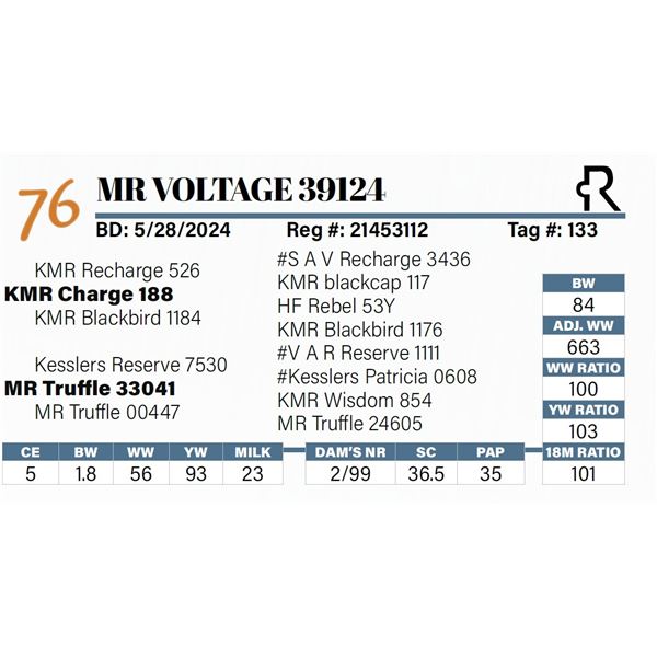 MR Voltage 39124