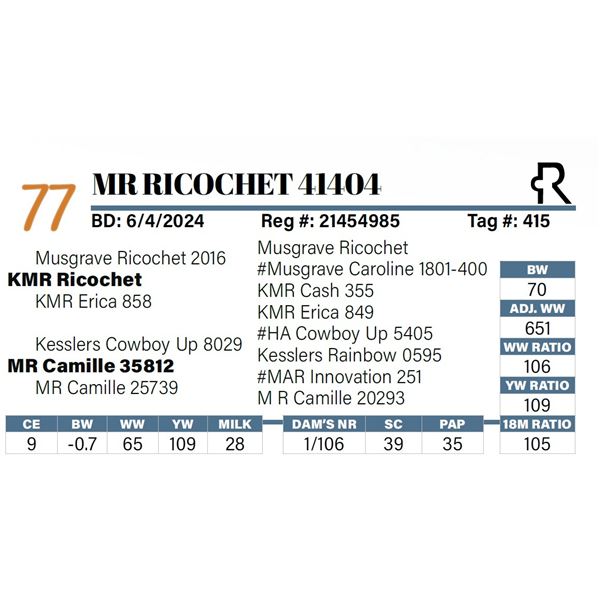 MR Ricochet 41404