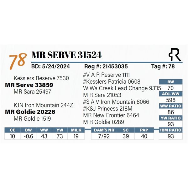 MR Serve 31524