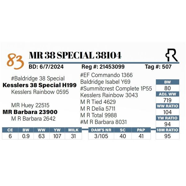 MR 38 Special 38104