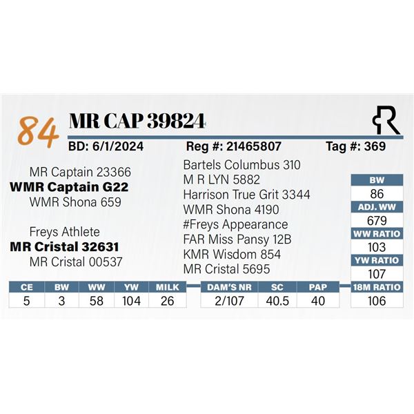 MR Cap 39824